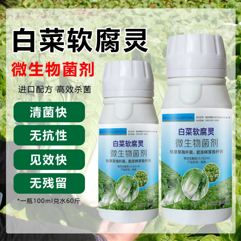 白菜病害专用软腐灵 白菜防腐防烂大白菜烂根黄叶腐烂软腐灰霉