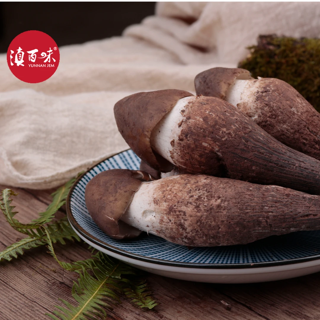 【新鲜鸡纵菌】滇百味云南黑帽鸡枞菌云南荔枝炸油精选500g刺身级别