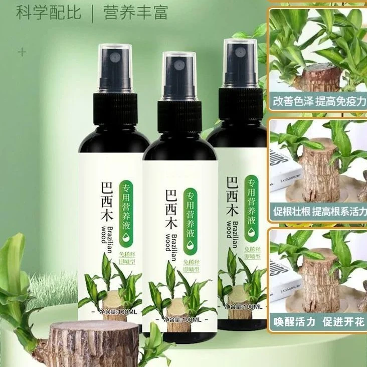 巴西木专用营养液免稀释防治黑腐黄叶干尖根腐绿植肥发芽