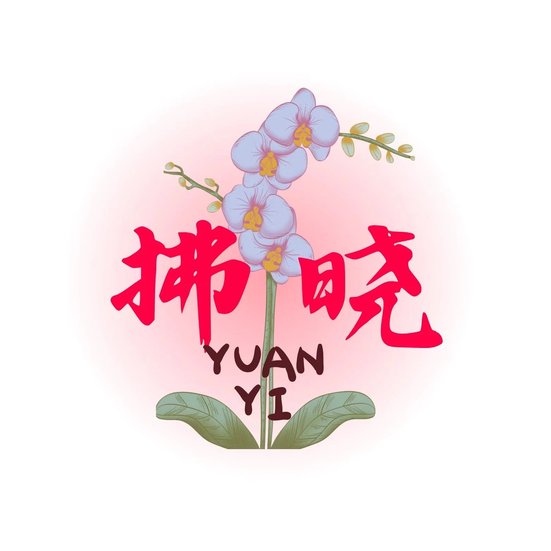 拂晓蝴蝶兰（蝴蝶兰小花随机2颗带花）开花珠发货