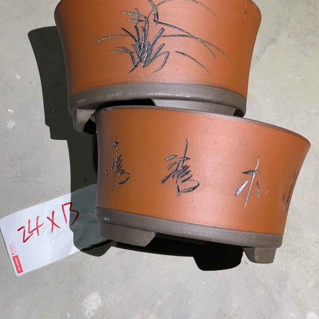 【闪购商品】紫砂20cm(含)-50cm(含)