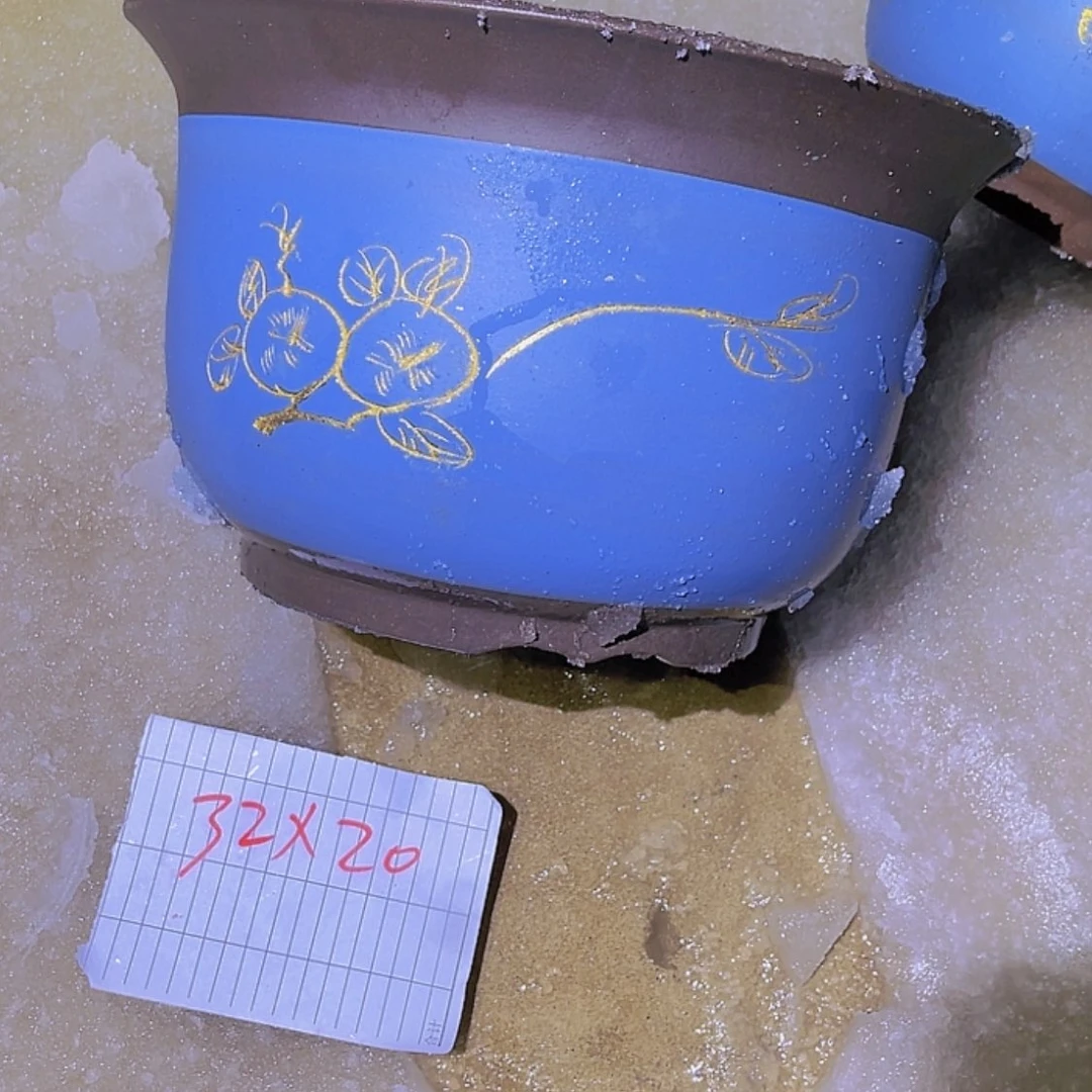 【闪购商品】紫砂20cm(含)-50cm(含)