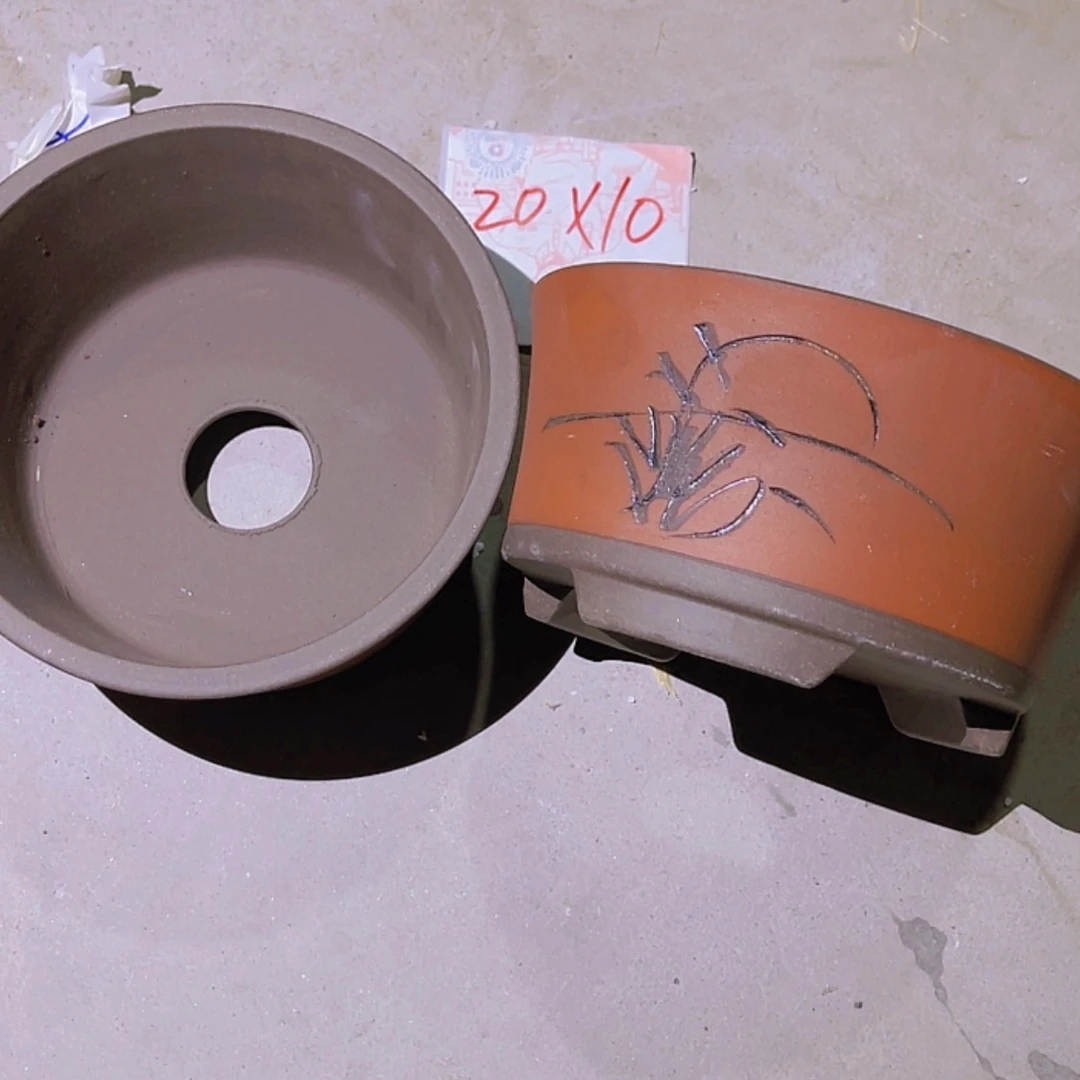 【闪购商品】紫砂20cm(含)-50cm(含)