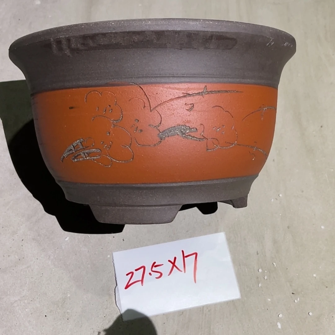 【闪购商品】紫砂20cm(含)-50cm(含)