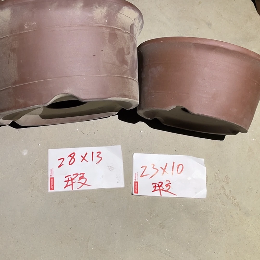 【闪购商品】紫砂20cm(含)-50cm(含)