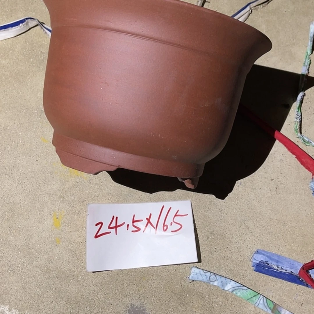 【闪购商品】紫砂20cm(含)-50cm(含)