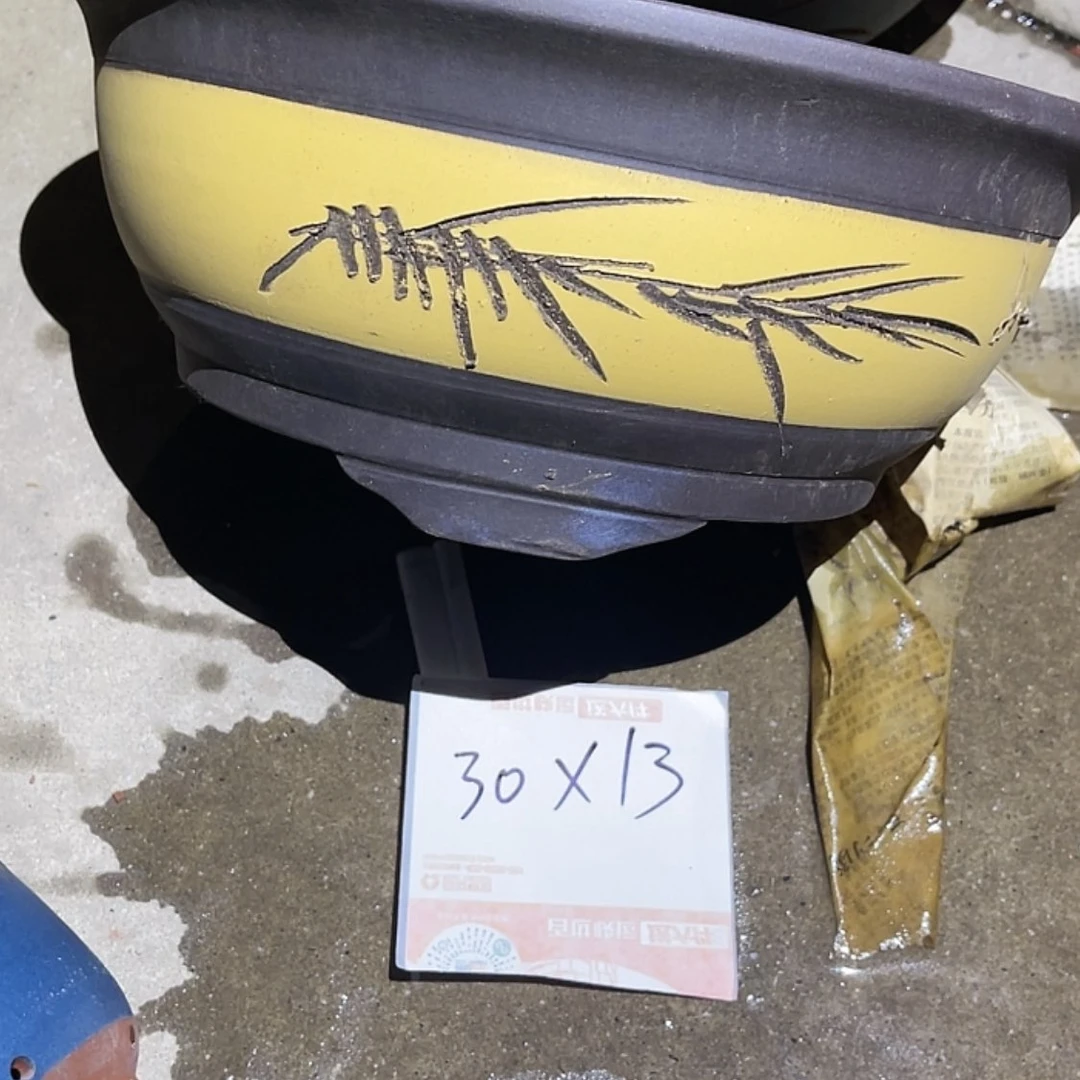 【闪购商品】紫砂20cm(含)-50cm(含)