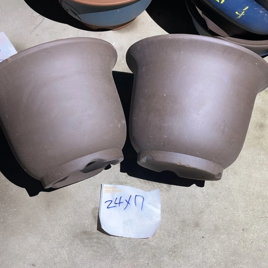 【闪购商品】紫砂20cm(含)-50cm(含)