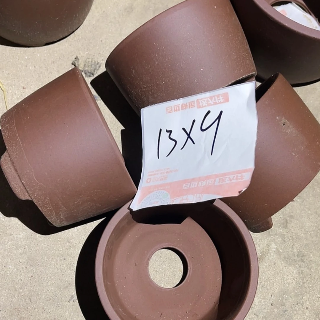 【闪购商品】紫砂20cm(含)-50cm(含)