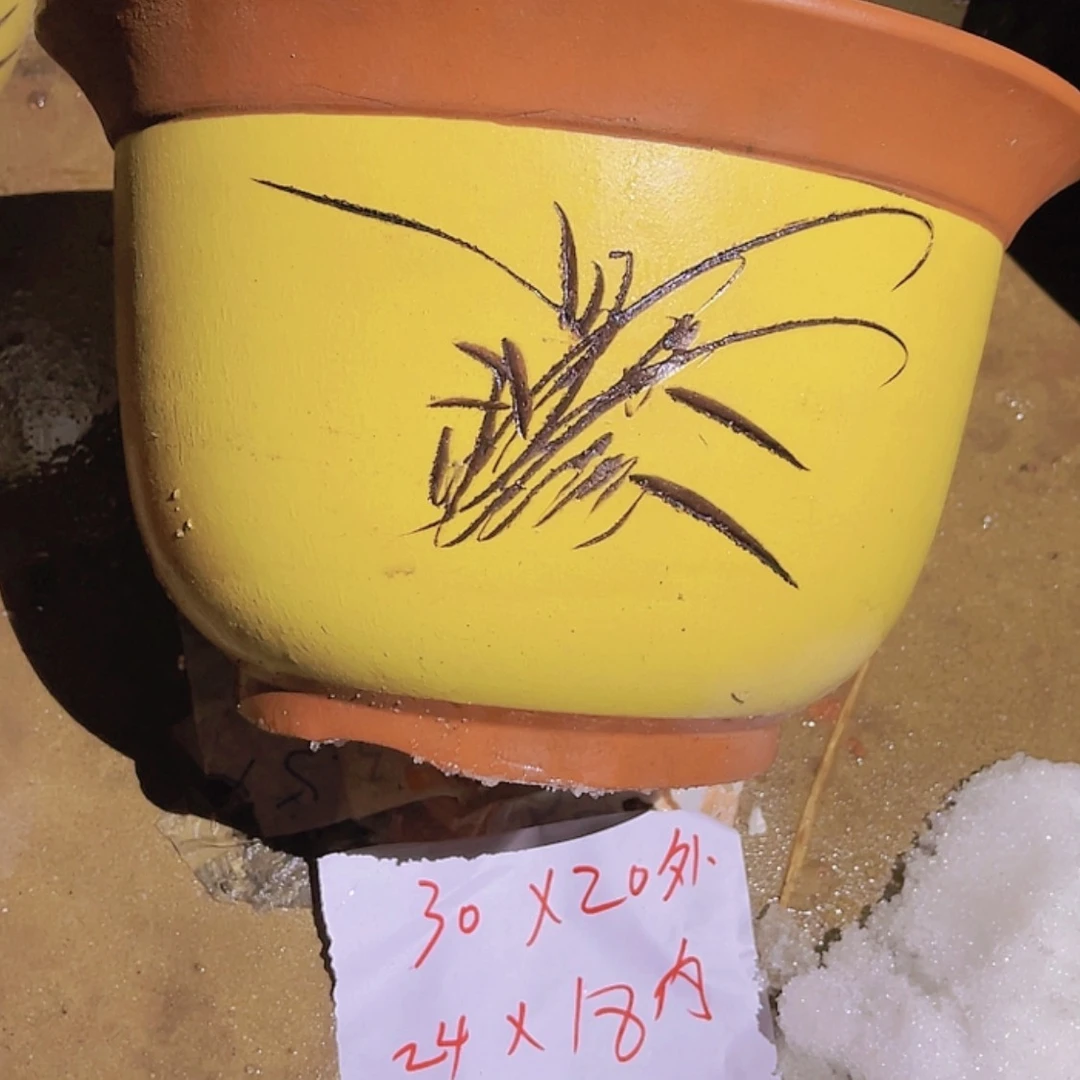 【闪购商品】紫砂20cm(含)-50cm(含)
