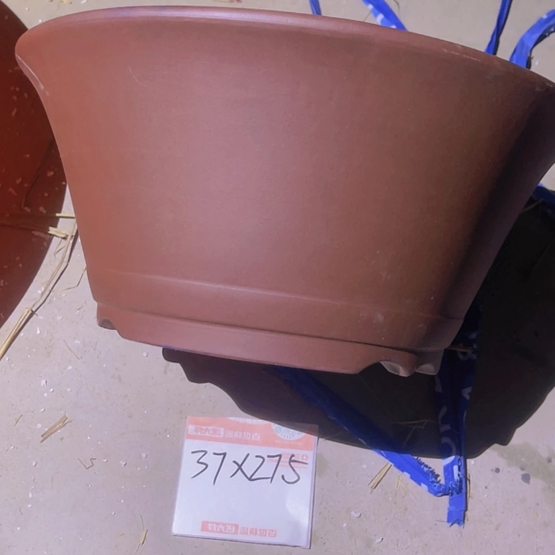 【闪购商品】紫砂20cm(含)-50cm(含)