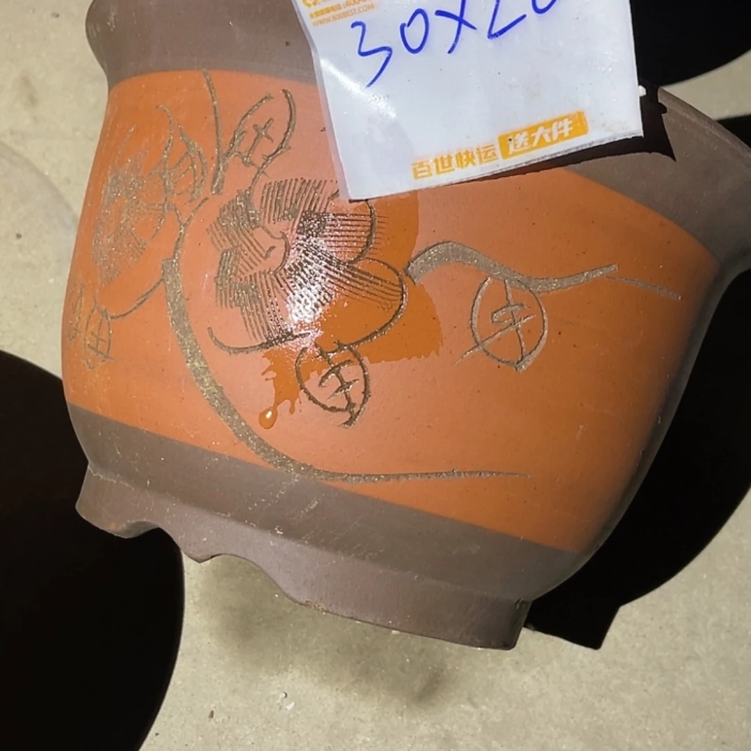 【闪购商品】紫砂20cm(含)-50cm(含)