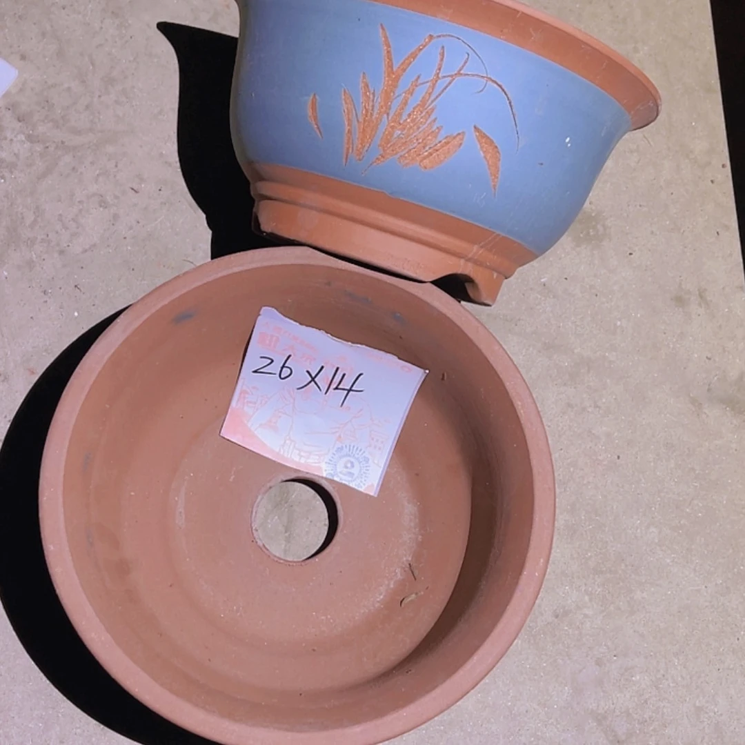 【闪购商品】紫砂20cm(含)-50cm(含)