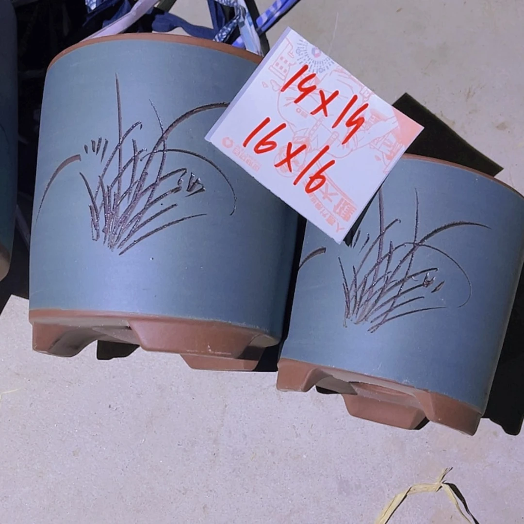 【闪购商品】紫砂20cm(含)-50cm(含)