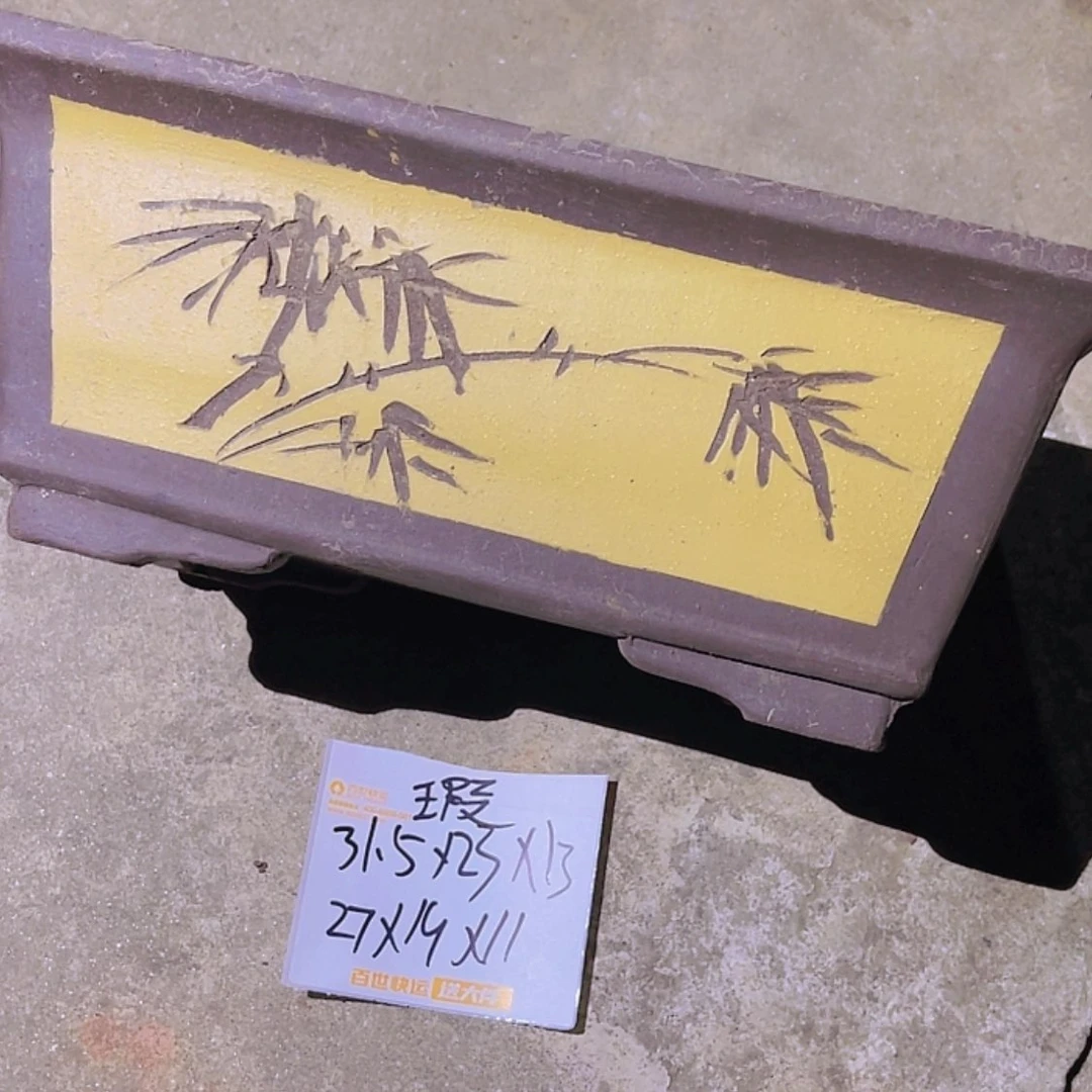 【闪购商品】紫砂20cm(含)-50cm(含)