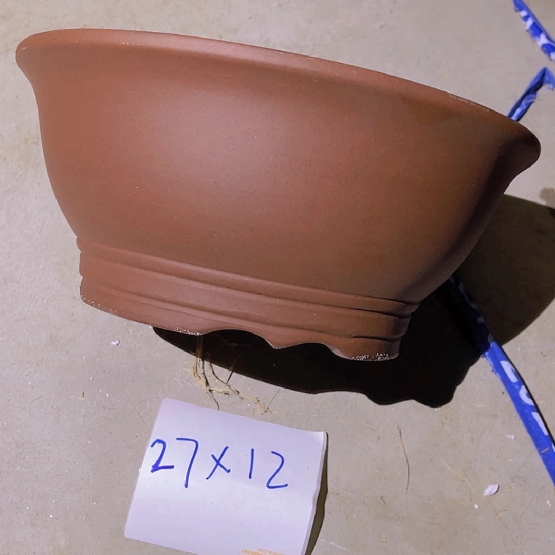 【闪购商品】紫砂20cm(含)-50cm(含)