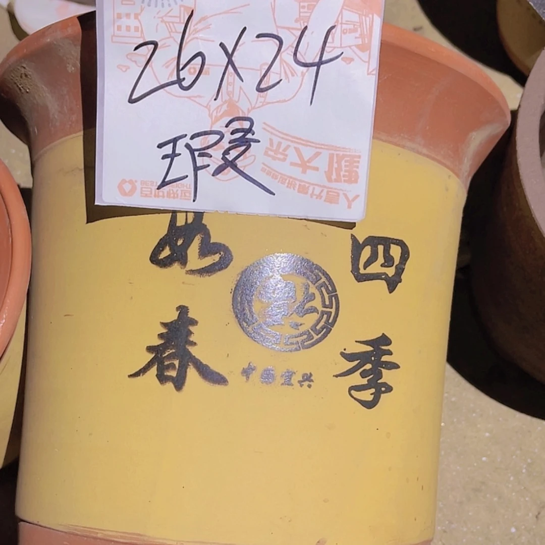 【闪购商品】紫砂20cm(含)-50cm(含)