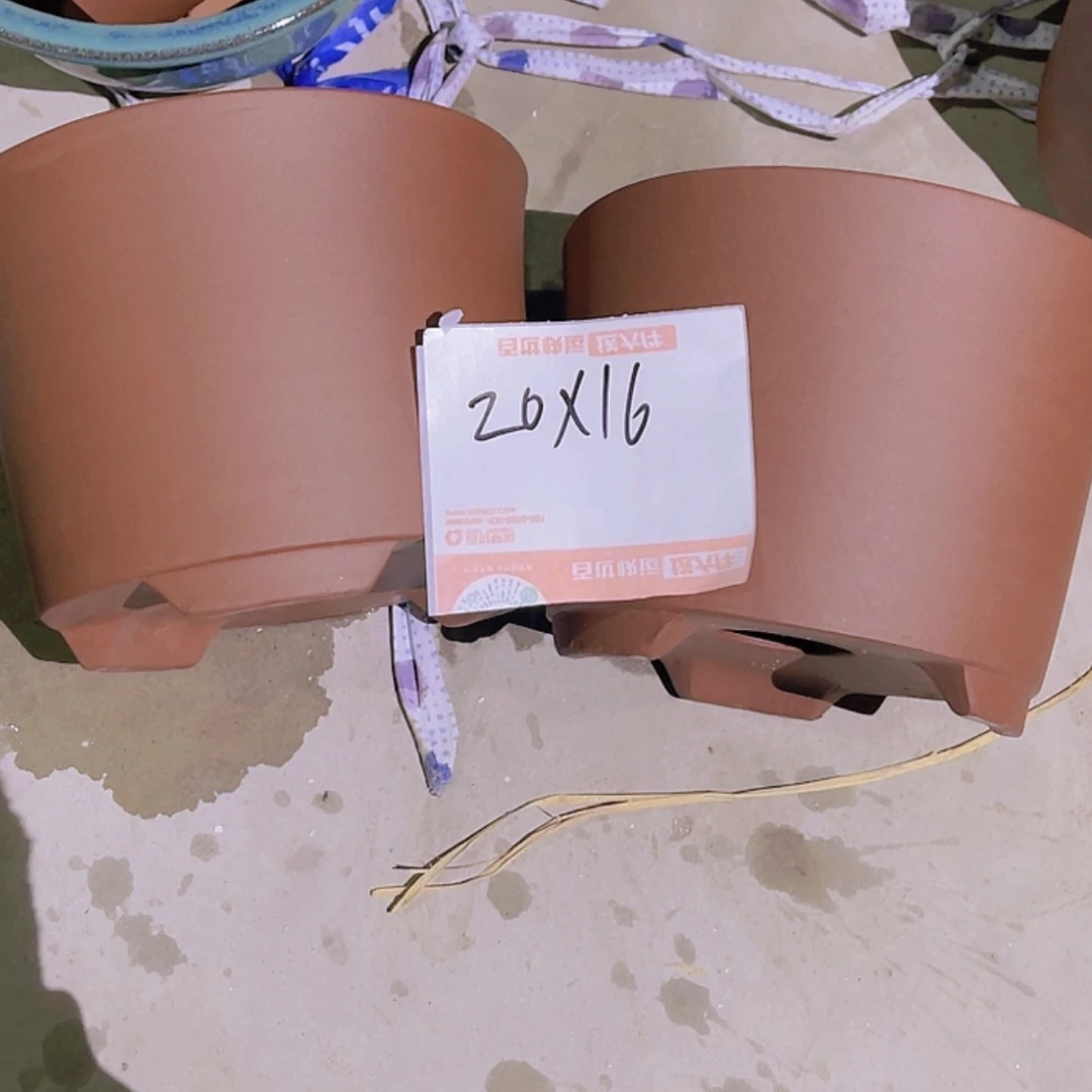 【闪购商品】紫砂20cm(含)-50cm(含)