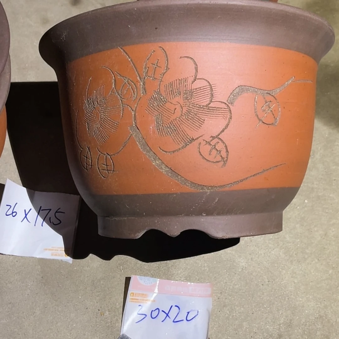 【闪购商品】紫砂20cm(含)-50cm(含)