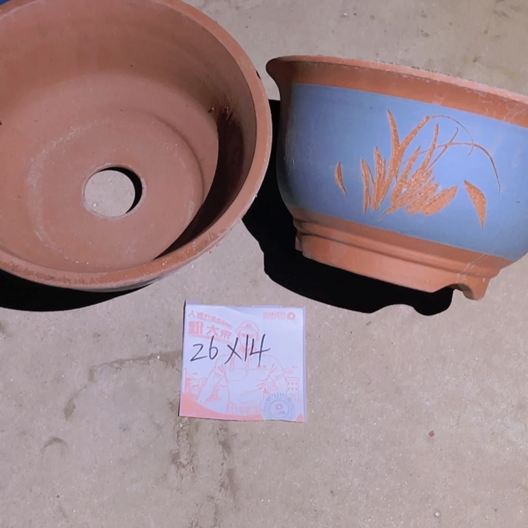 【闪购商品】紫砂20cm(含)-50cm(含)
