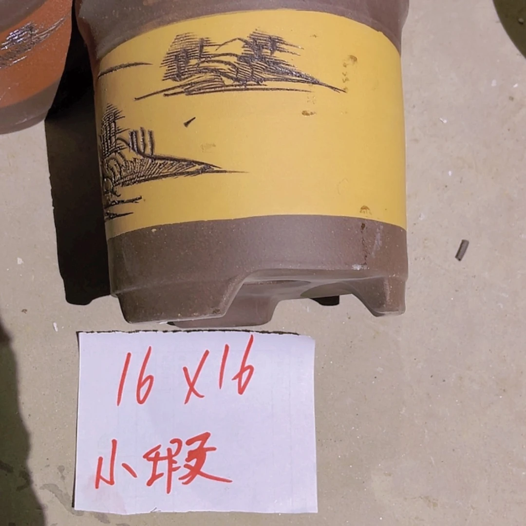 【闪购商品】紫砂20cm(含)-50cm(含)