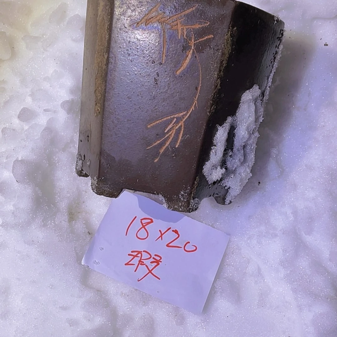 【闪购商品】紫砂20cm(含)-50cm(含)