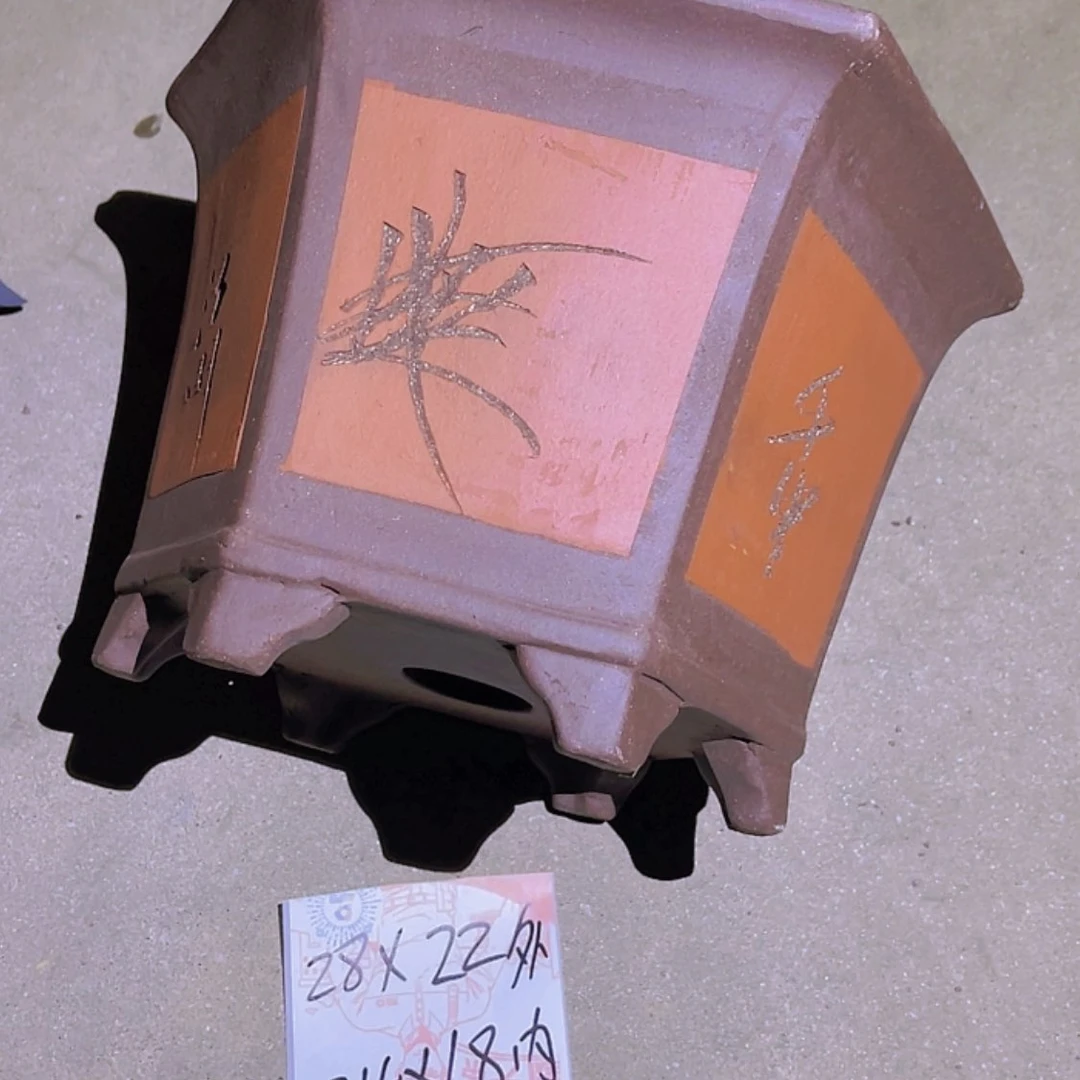 【闪购商品】紫砂20cm(含)-50cm(含)