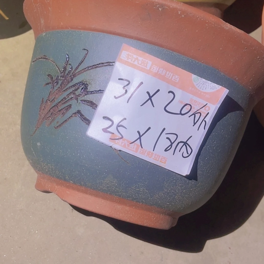 【闪购商品】紫砂20cm(含)-50cm(含)