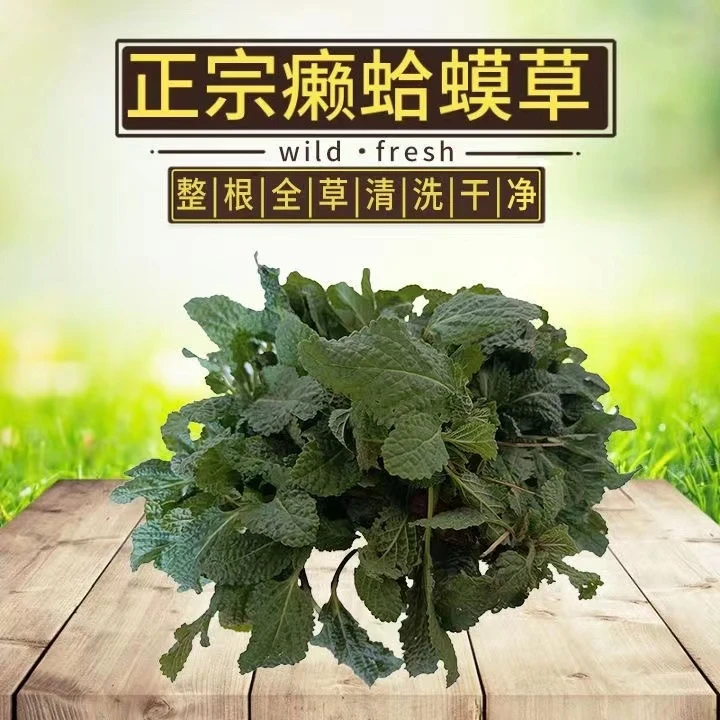 蛤蟆草新货蛤蟆草农产品晒干新货蛤蟆草根茎特产食材250-500g包邮