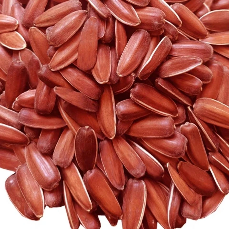 红皮生瓜子大颗粒山地葵花籽农家特产自种食材原味零食1-5斤包邮
