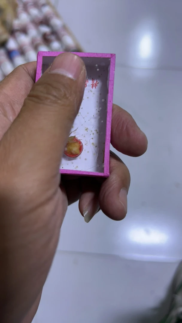 小黄玩具模型盒子拍一发二包邮到家