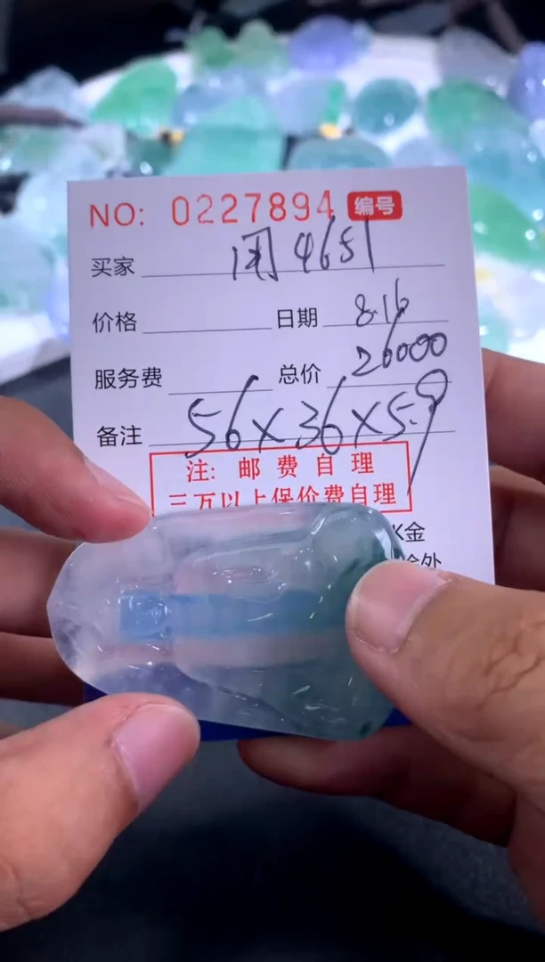 【闪购商品】翡翠颈饰未镶嵌用户