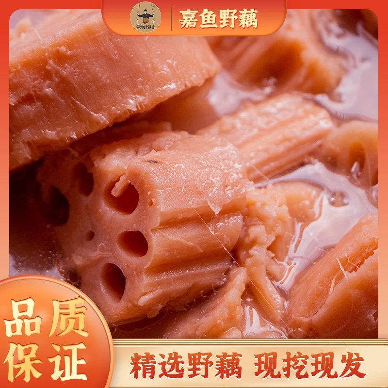湖地野藕湖北嘉鱼野藕正宗粉藕煲汤粉糯新鲜现挖带泥巴九孔特产