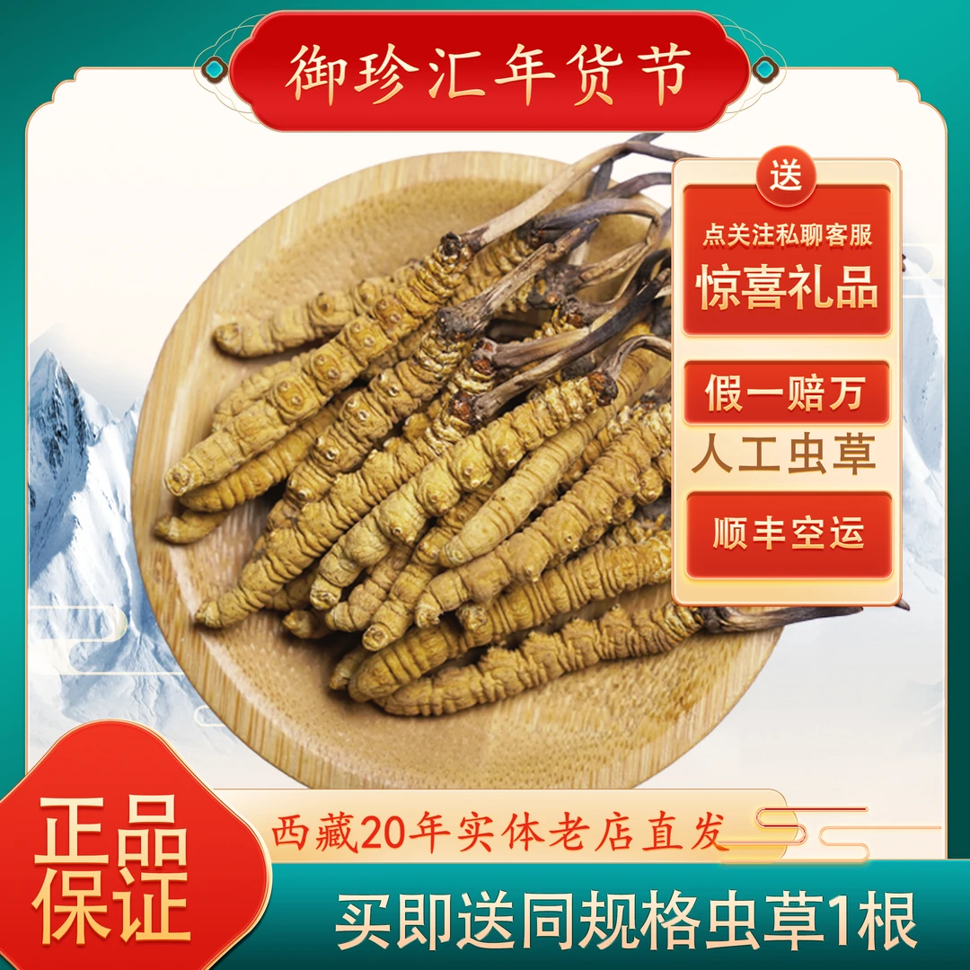 【西藏直发】御珍汇那曲高海拔冬虫夏草甄选优质品质精选养生