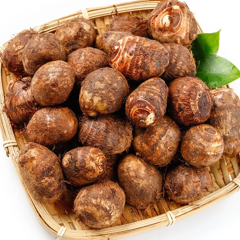 正宗云南牛奶小芋头高山种植粉糯香甜新鲜现挖农家芋头3斤5斤9斤