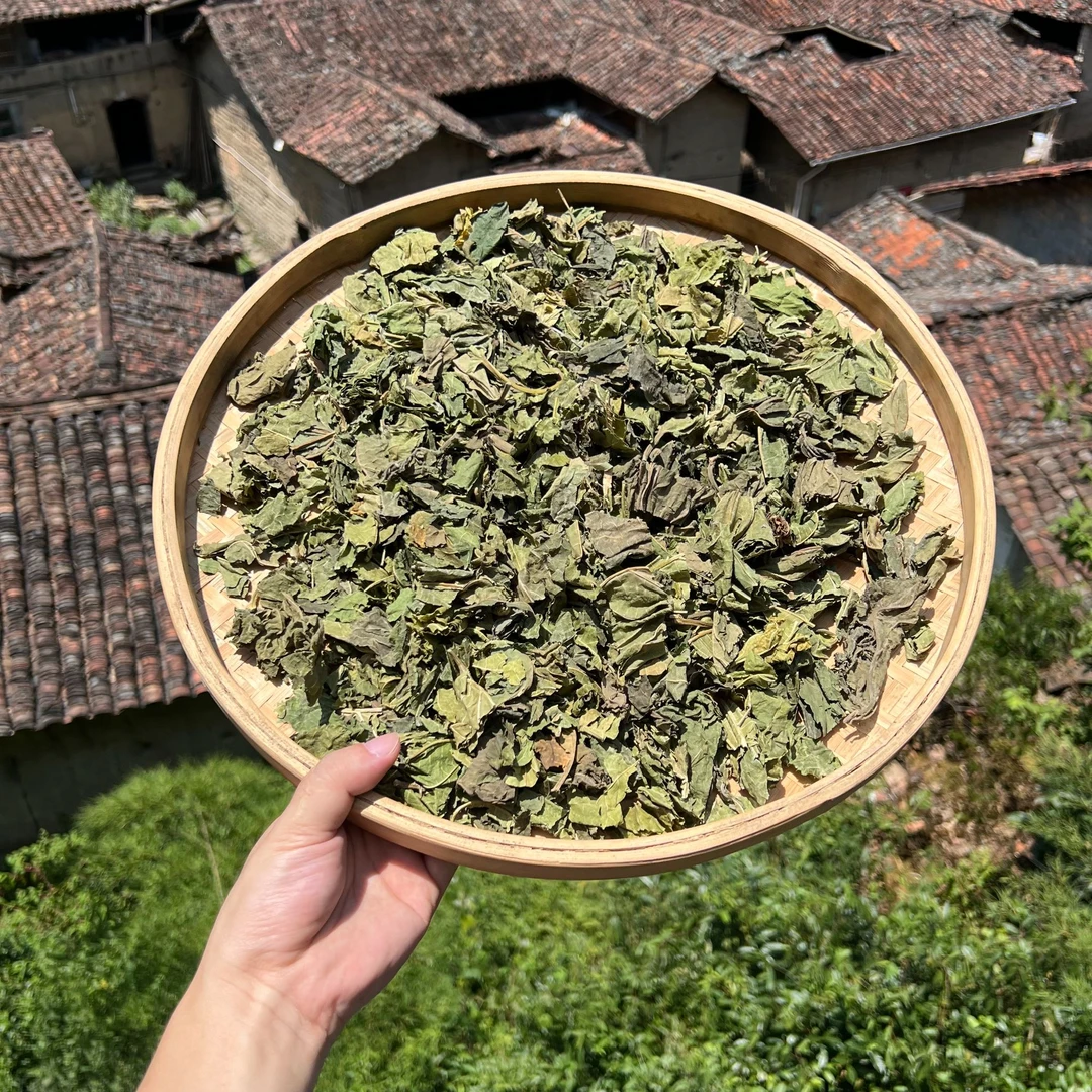 高山 农家 桑叶
