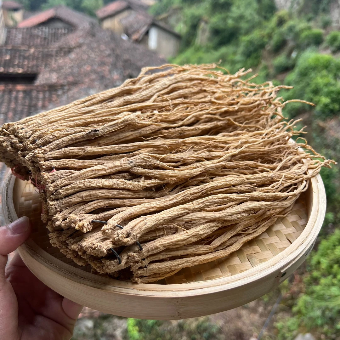 高山 农家  土参（党）