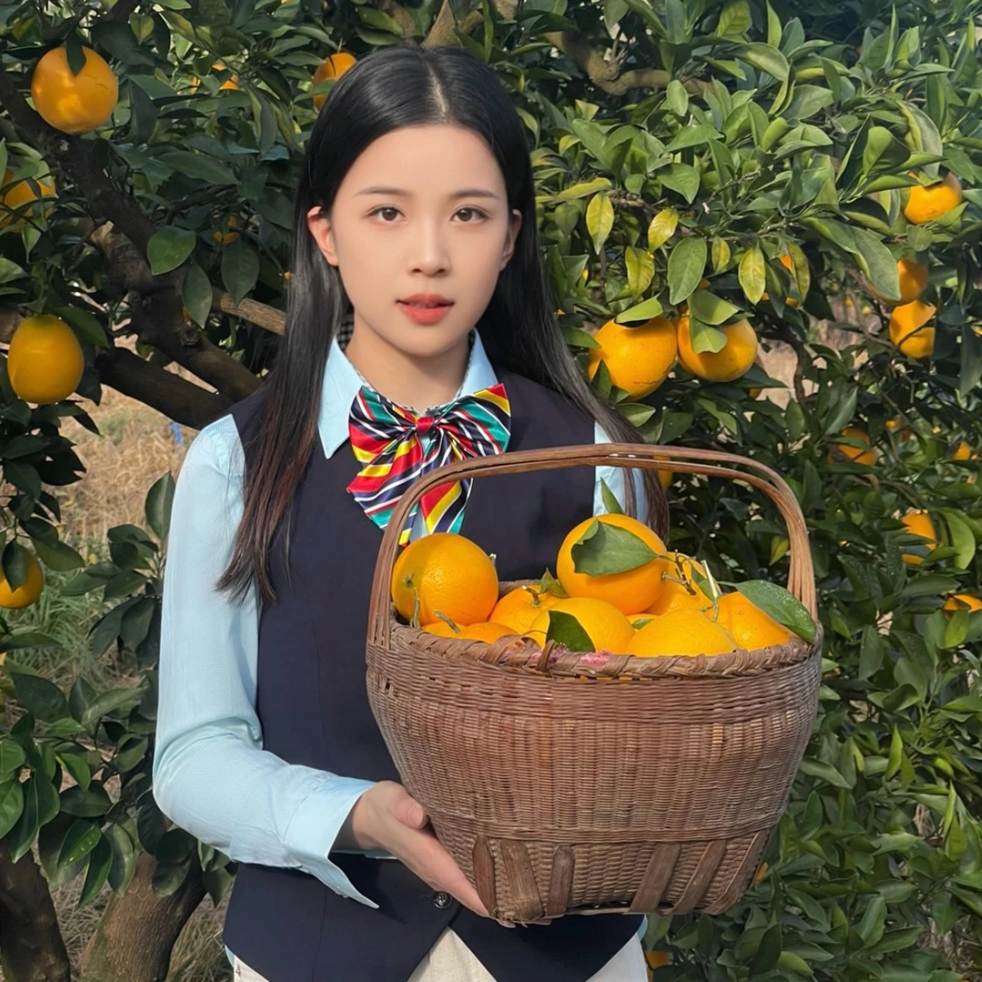 赣南脐橙正宗江西寻乌产地直发新鲜采摘发货5/10斤
