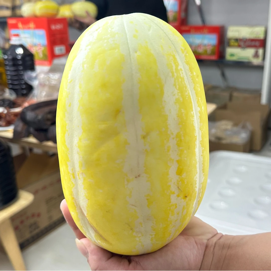 【笋瓜】江西新鲜好吃脆黄金蜜甜瓜黄金道黄皮香瓜米冬瓜
