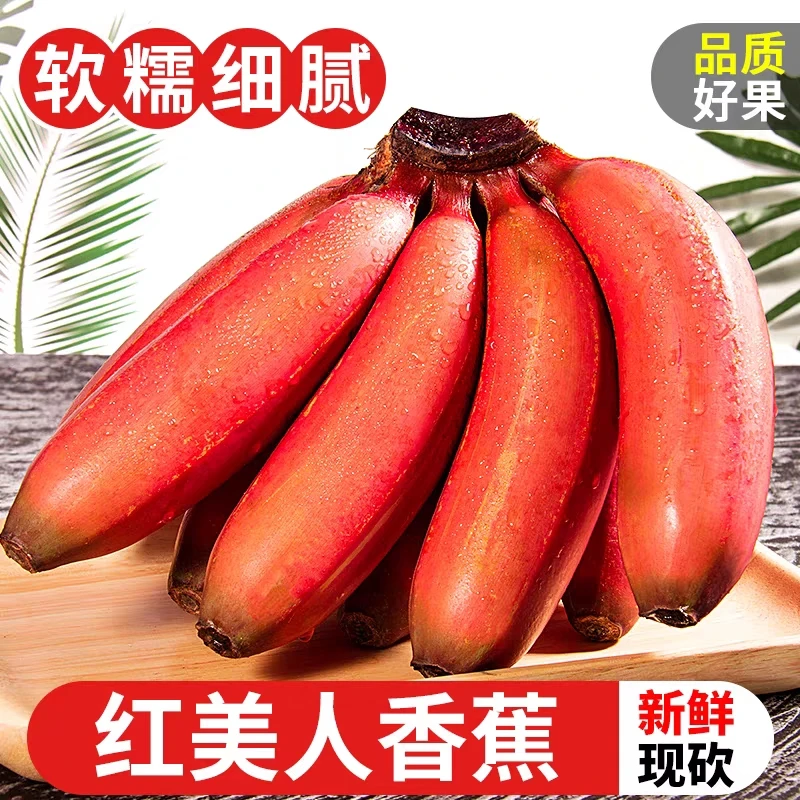 广西红皮香蕉新鲜水果9斤/5斤（现砍生蕉发货，催熟放熟食用）