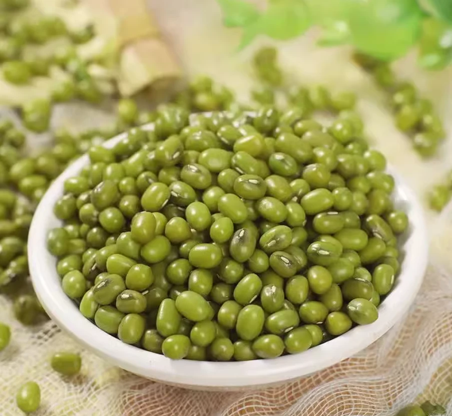 通用链接 绿豆 500g/袋