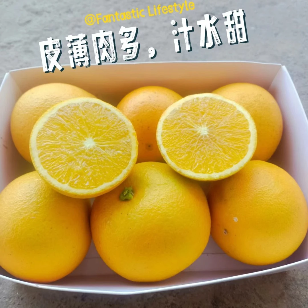 湖南麻阳锦蜜冰糖橙（5斤/9斤装） 爆汁  原产地直发 天然种植