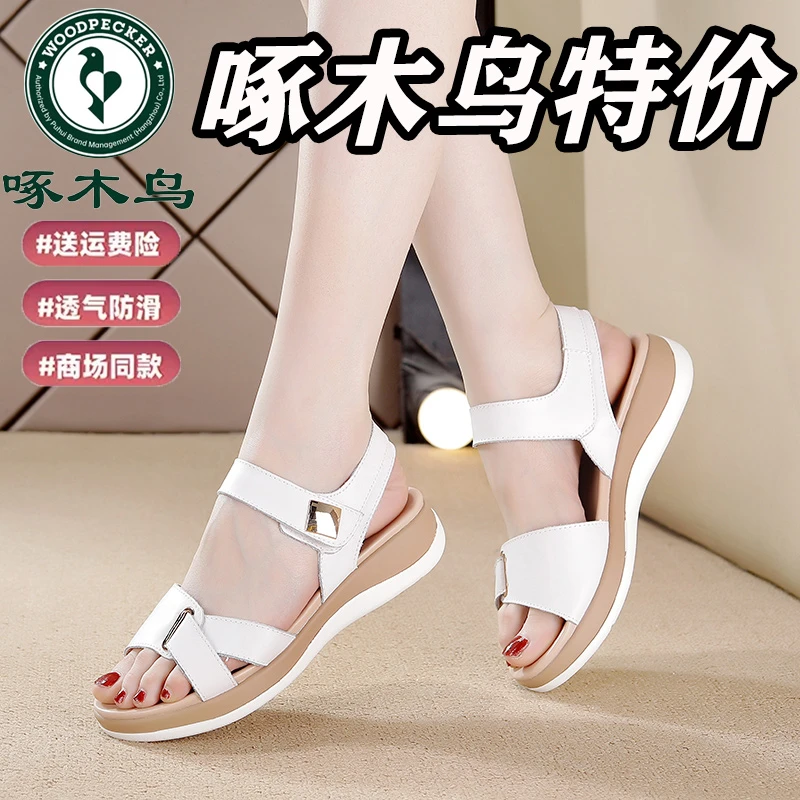 啄木鸟断码特价中老年时尚凉鞋女2025夏季爆款软底舒适百搭妈妈鞋