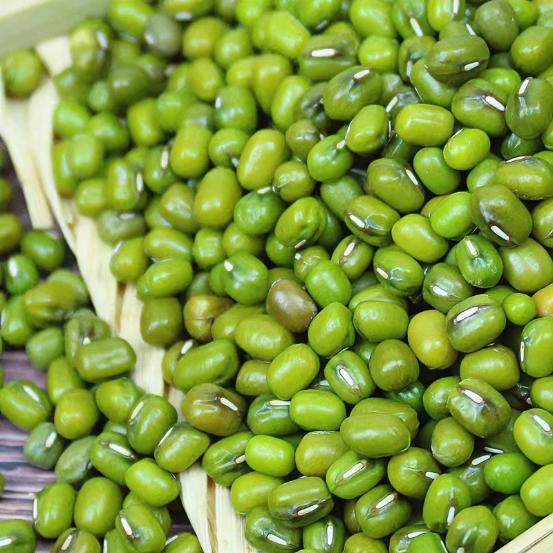 鲁强石磨源  农家绿豆   发芽 芽豆 绿豆糕 绿豆粉皮颗粒营养
