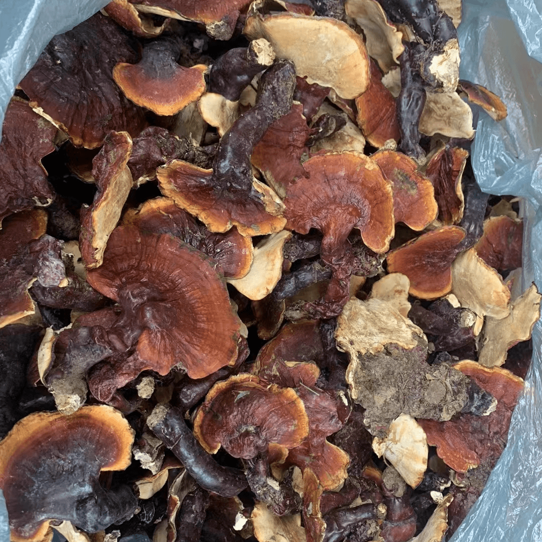 西藏波密白肉白心250克500克