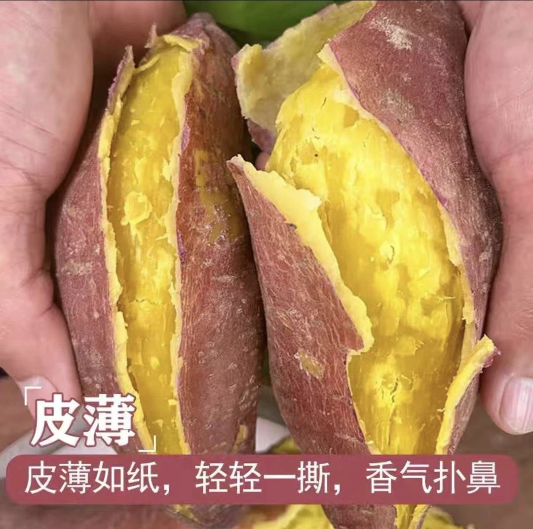 新鲜现挖黄心鸡蛋黄板栗蜜薯粉糯香甜农家沙地蜜薯番薯地瓜