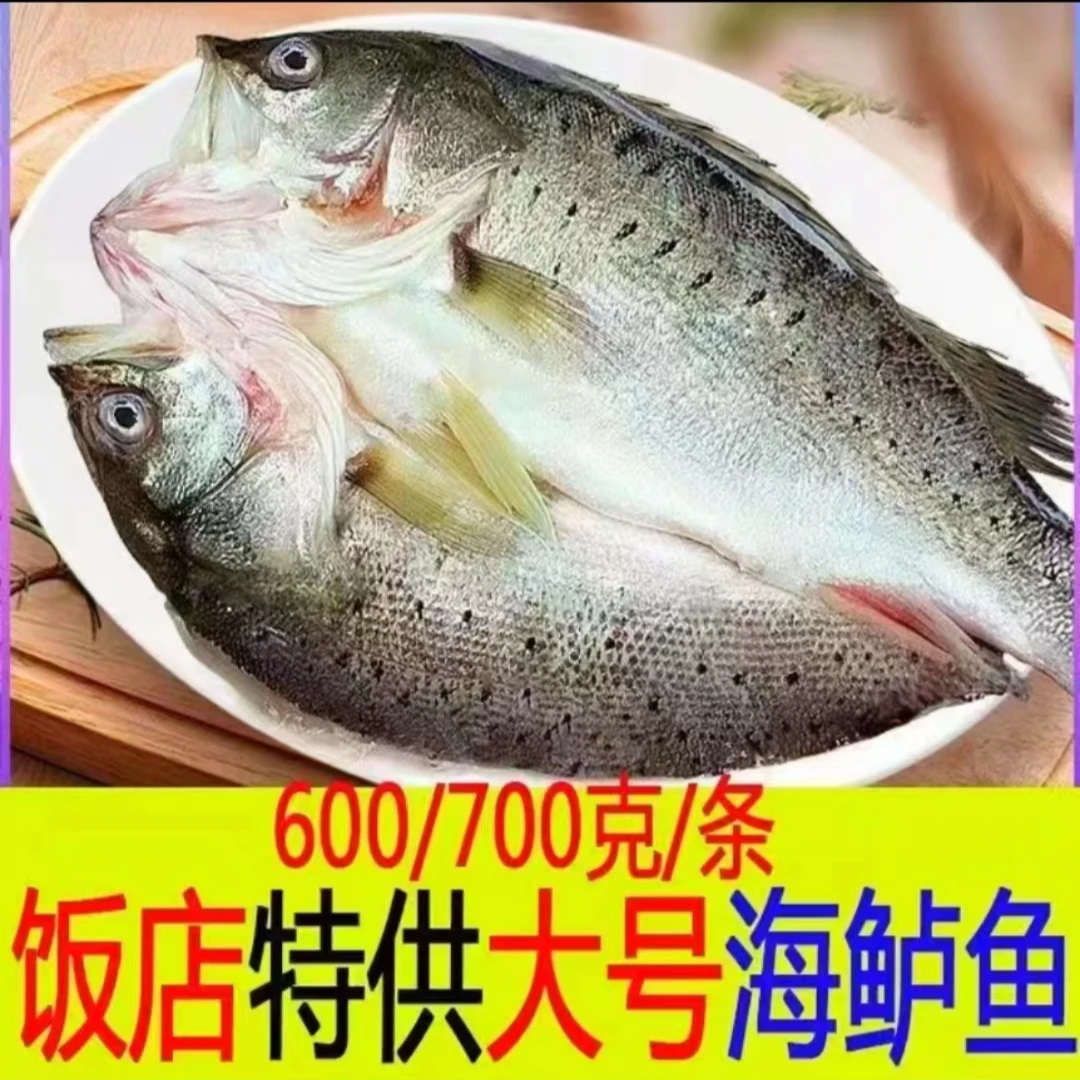 【600g/700g】大号开背海鲈鱼 去鳞去鳃去内脏免清理腌制蒜瓣肉