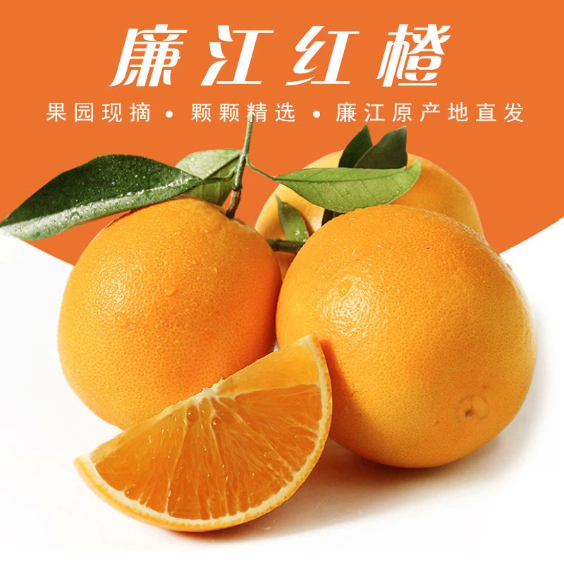 【顺丰速达】正宗广东廉江红橙多汁化渣5斤/10斤应季水果红江橙子