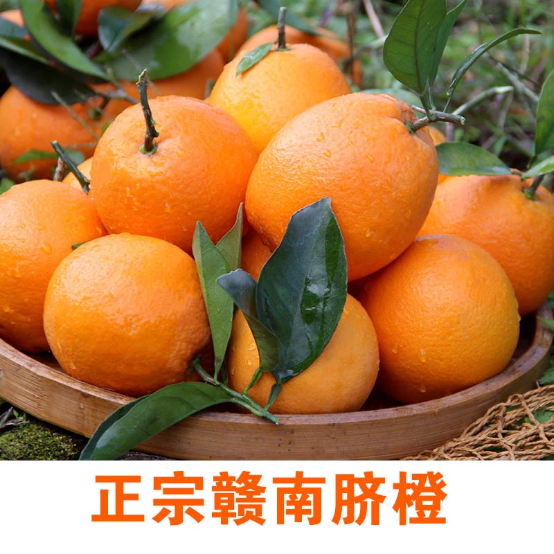 10斤小果60-70mm正宗赣南脐橙产地直发应季水果新鲜橙子现摘