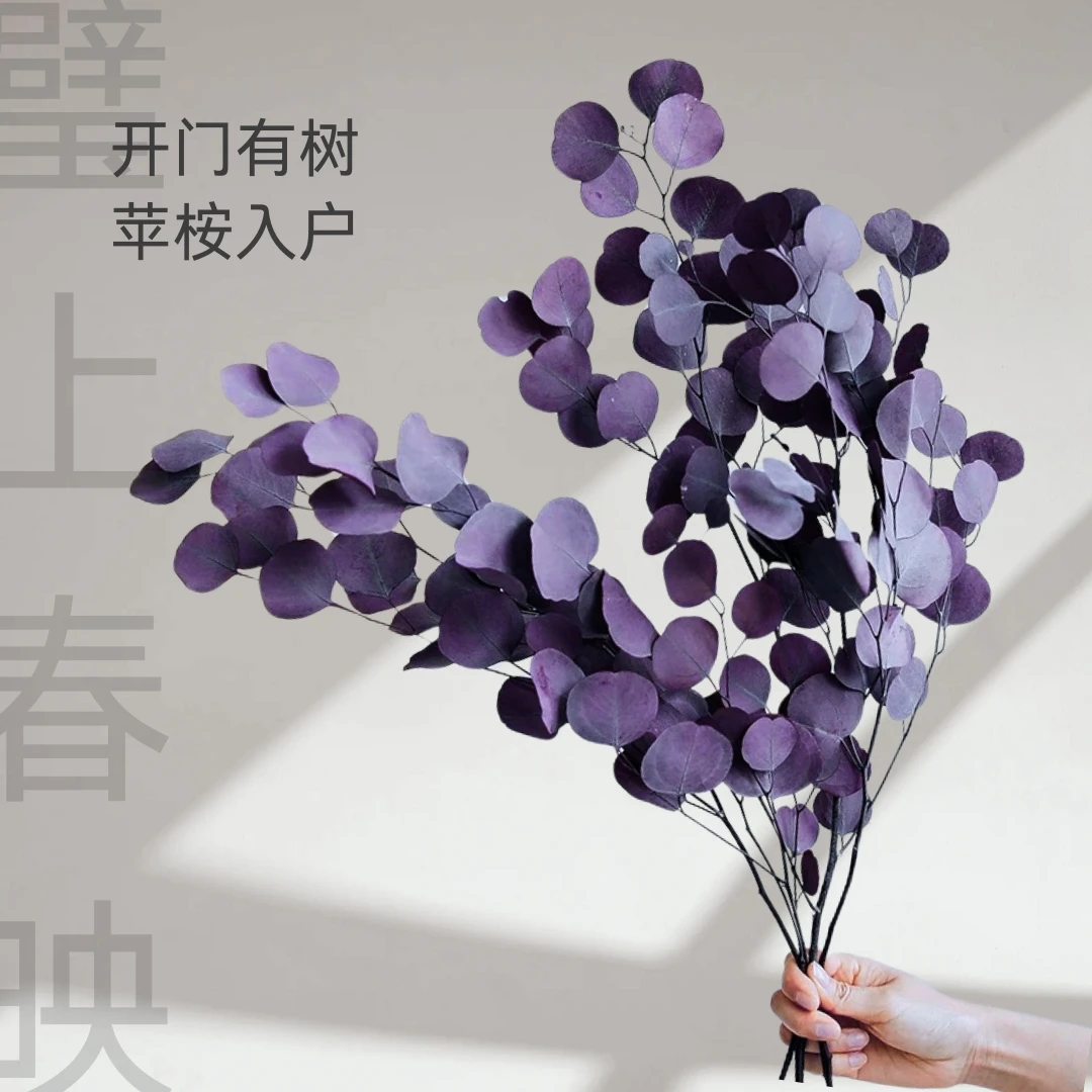 【永生苹果尤加利叶】天然植物长期摆放高端家具软装鲜花